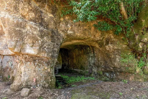 a view of a grey house with a tree