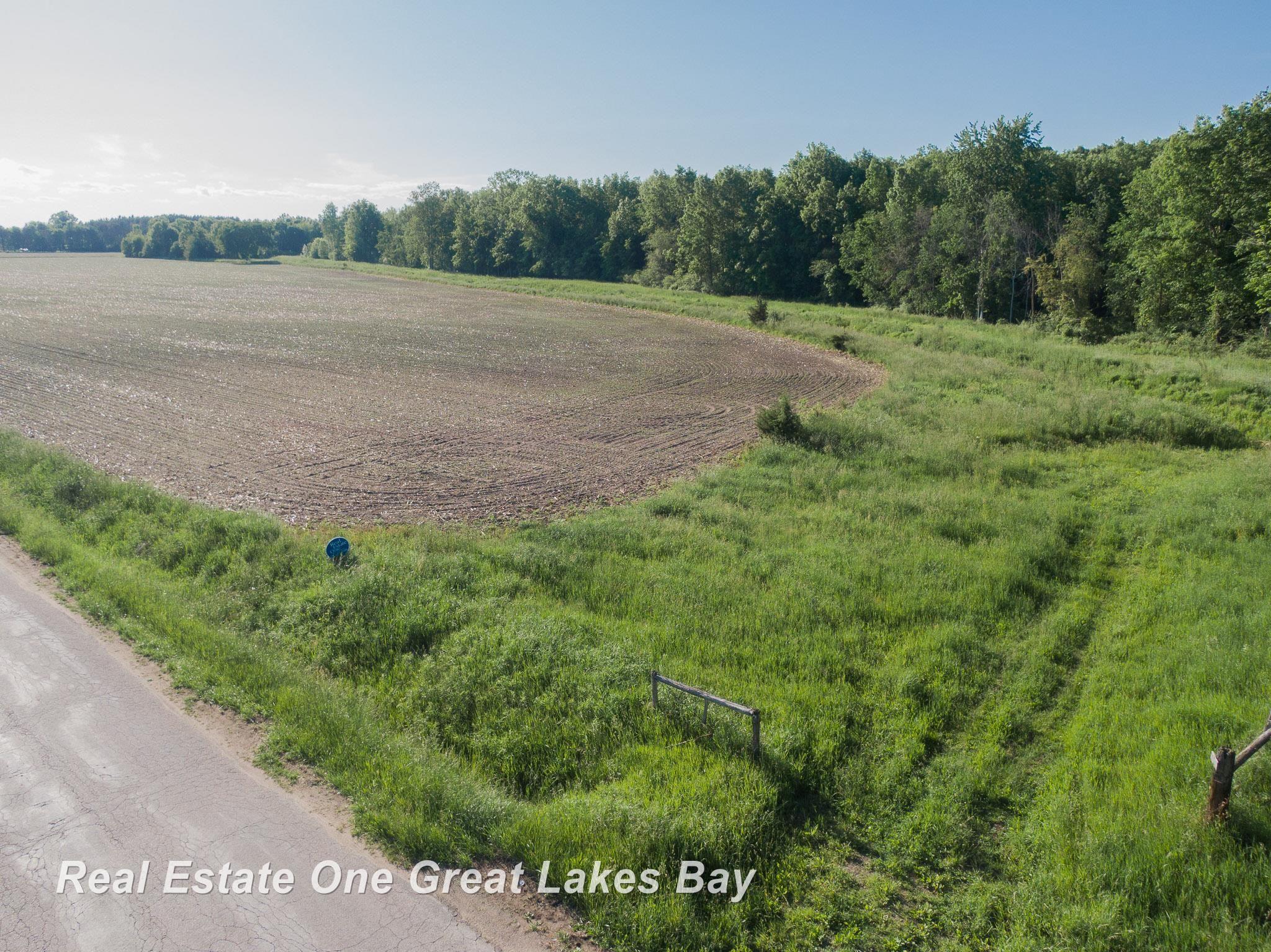 Roosevelt Road Hemlock, MI 48626 - Photo 10 of 28
