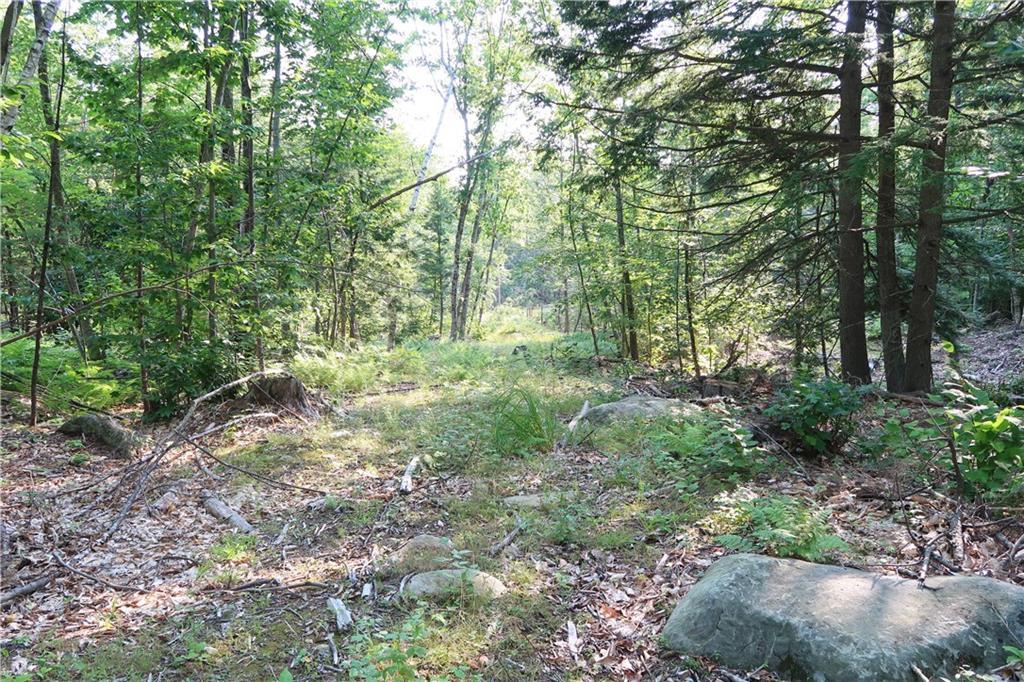 65 Waters Hill Road Livermore, ME 04253 - Photo 4 of 10 Photo