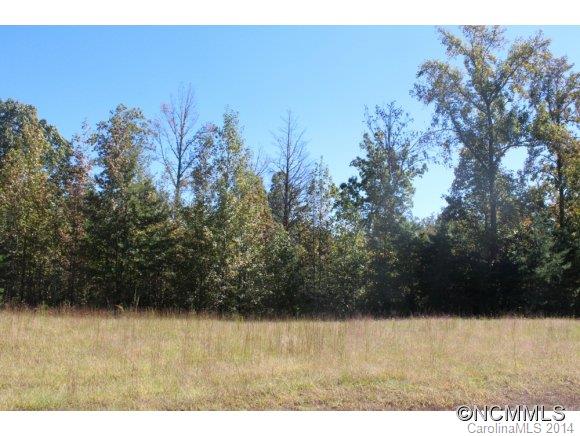 147 Grandview Lane Rutherfordton, NC 28139 - Photo 4 of 6