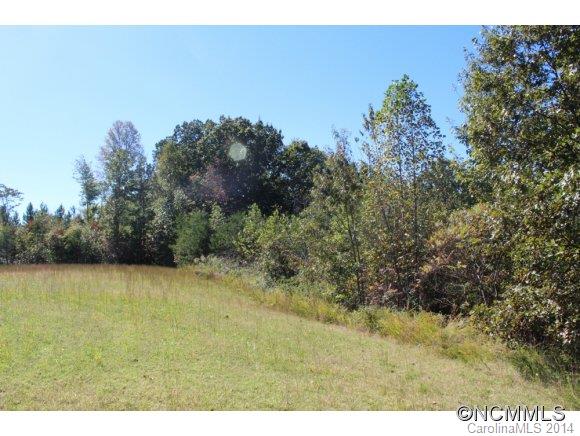 147 Grandview Lane Rutherfordton, NC 28139 - Photo 5 of 6