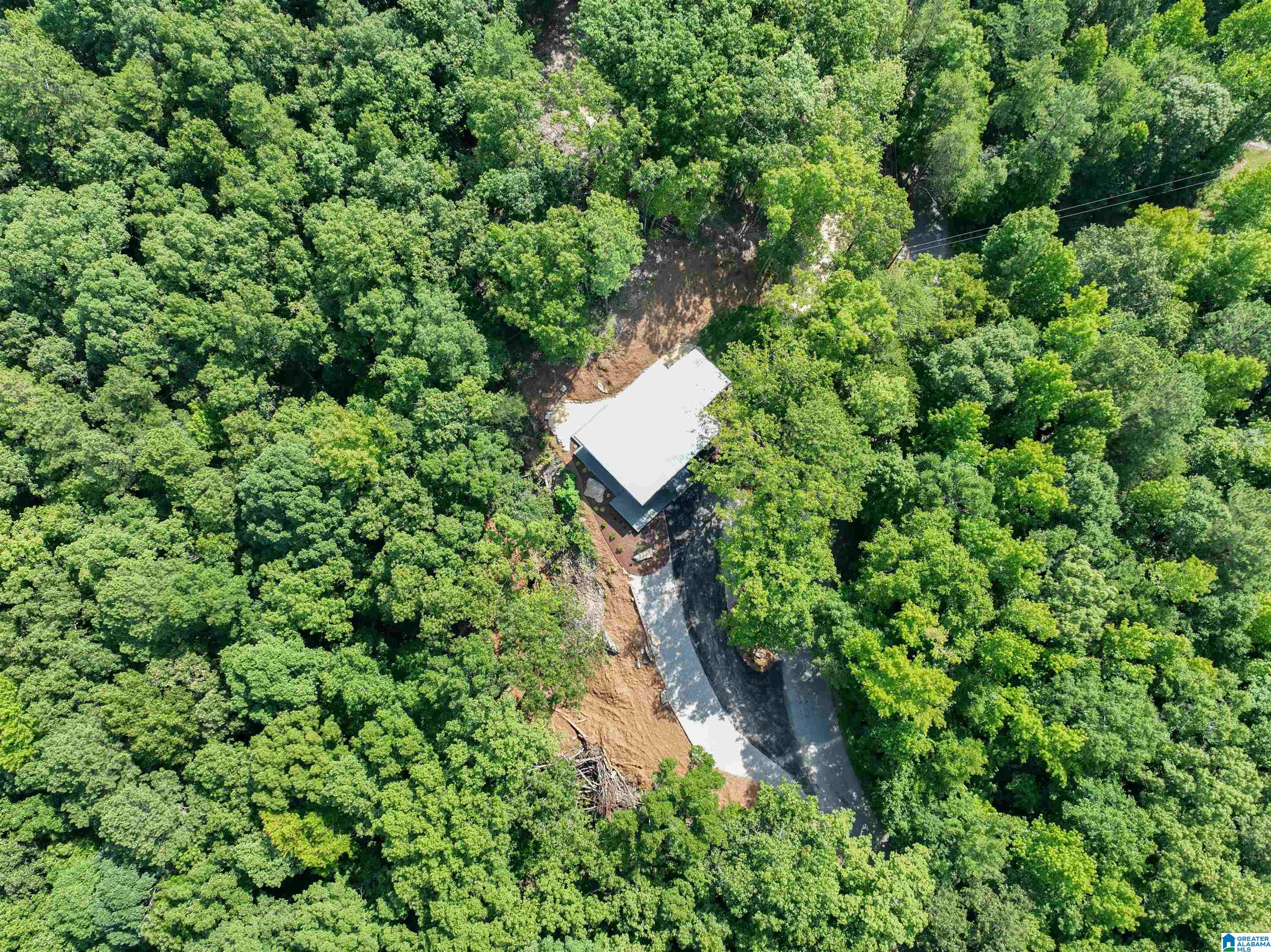 689 Beaver Creek Road Remlap, AL 35133 - Photo 60 of 64