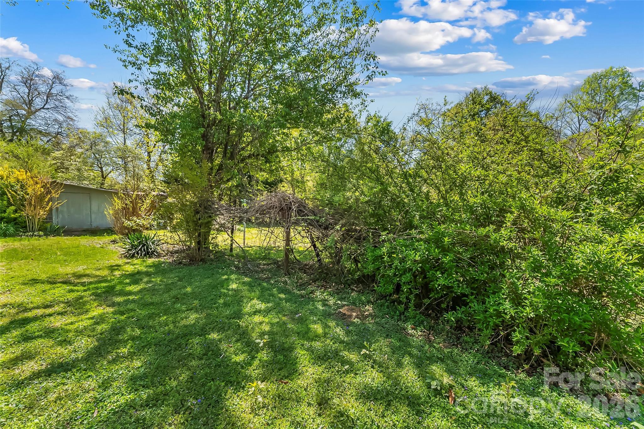 428 Melrose Street Southwest Lenoir, NC 28645 - Photo 26 of 34 a view of a yard with a tree