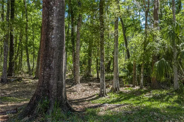 $599,999 | 8600 Shenandoah Run, Wesley Chapel, FL 33544