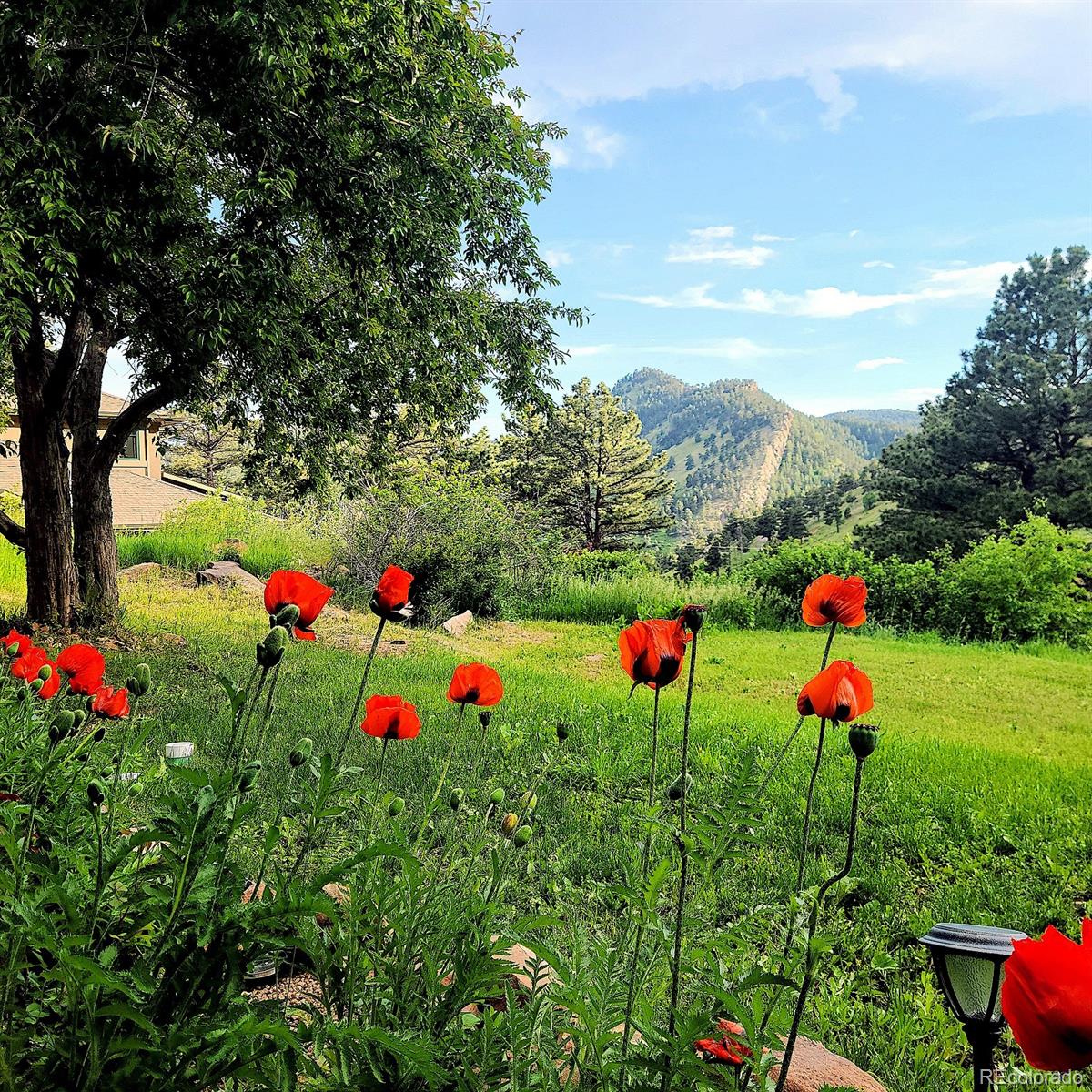 5384 Olde Stage Road Boulder, CO 80302 - Photo 44 of 49 a group of people sitting on a big yard