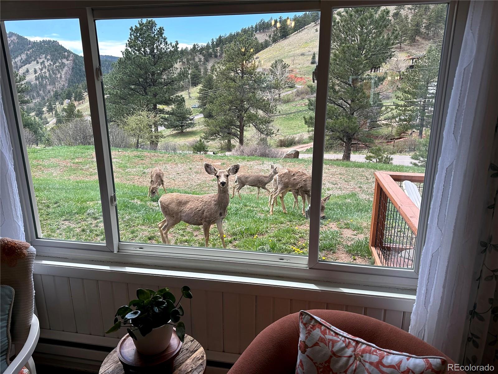 5384 Olde Stage Road Boulder, CO 80302 - Photo 46 of 49