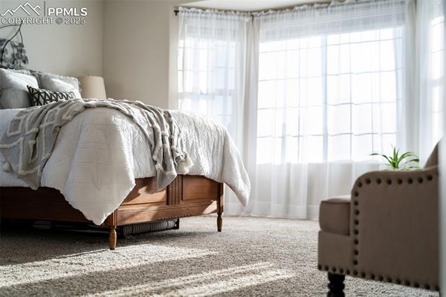 712 Rye Ridge Road Fountain, CO 80817 - Photo 23 of 45 Primary Bedroom #1- upper (cont)