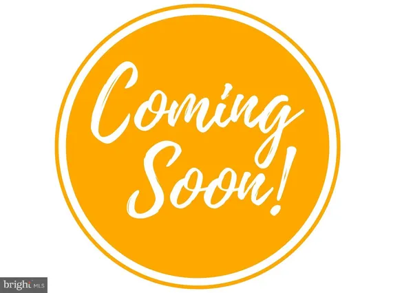 a view of a swimming pool with a potted plant