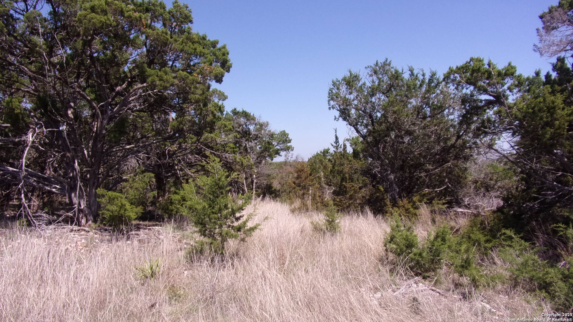 407 East Headwaters Ranch Road Kendalia, TX 78027 - Photo 4 of 13
