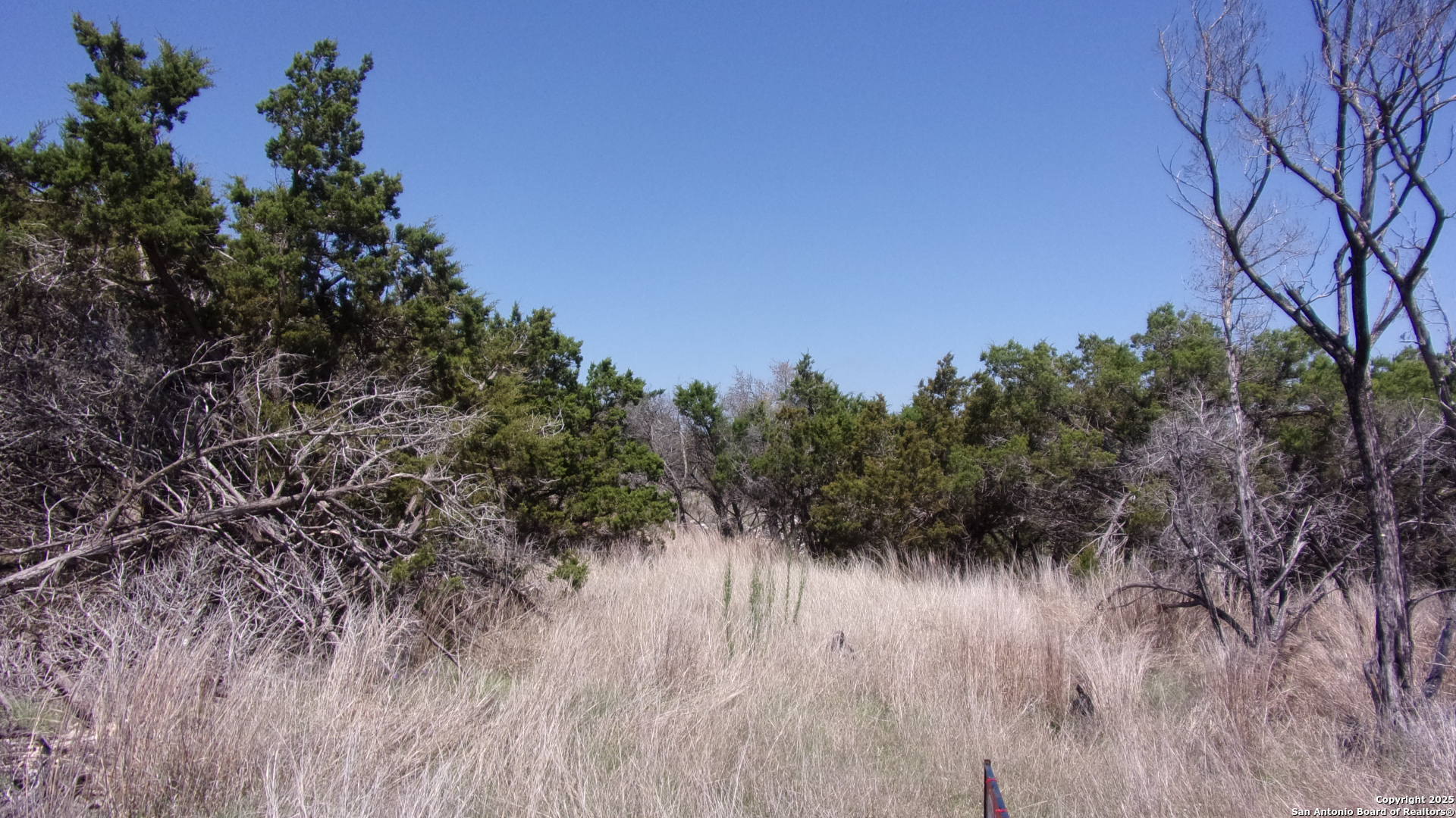 407 East Headwaters Ranch Road Kendalia, TX 78027 - Photo 5 of 13