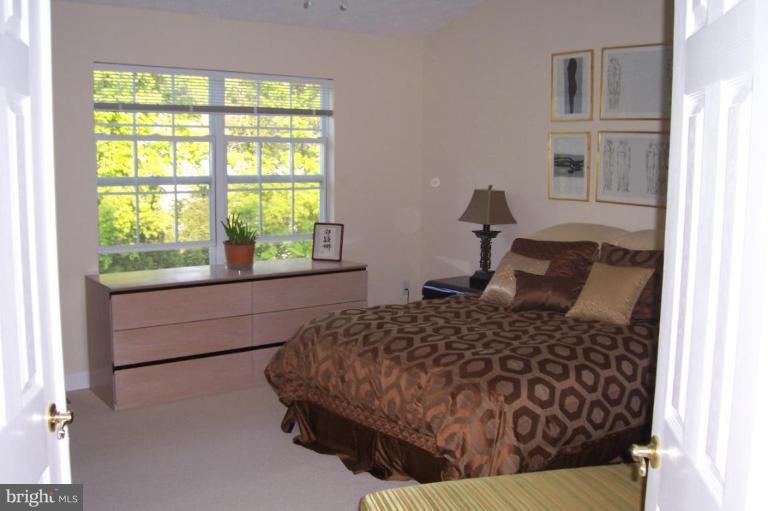 3235 Escapade Circle Riva, MD 21140 - Photo 11 of 17 Master Bedroom
