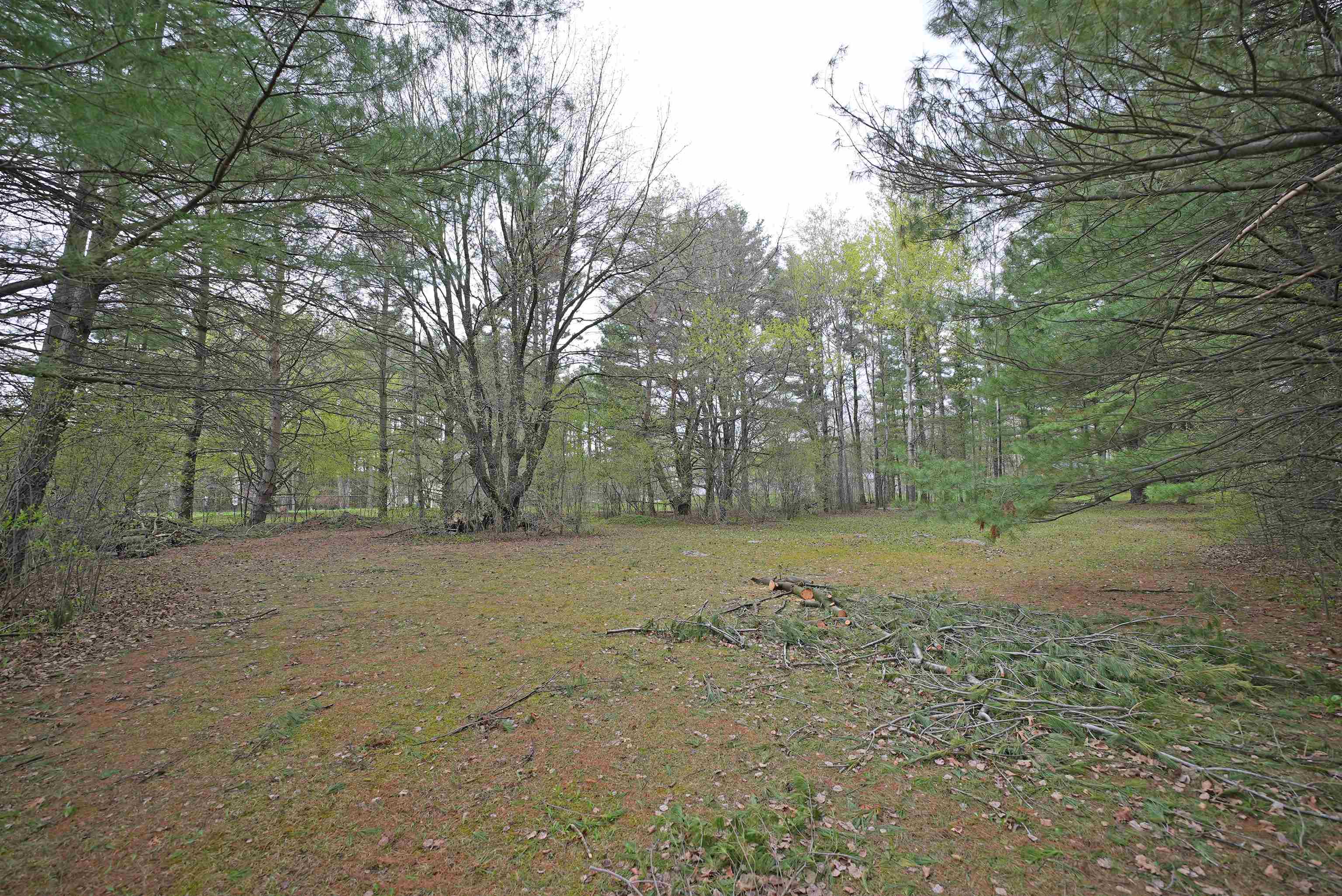 Pine Street, Unit 15 Stevens Point, WI 54482 - Photo 6 of 6