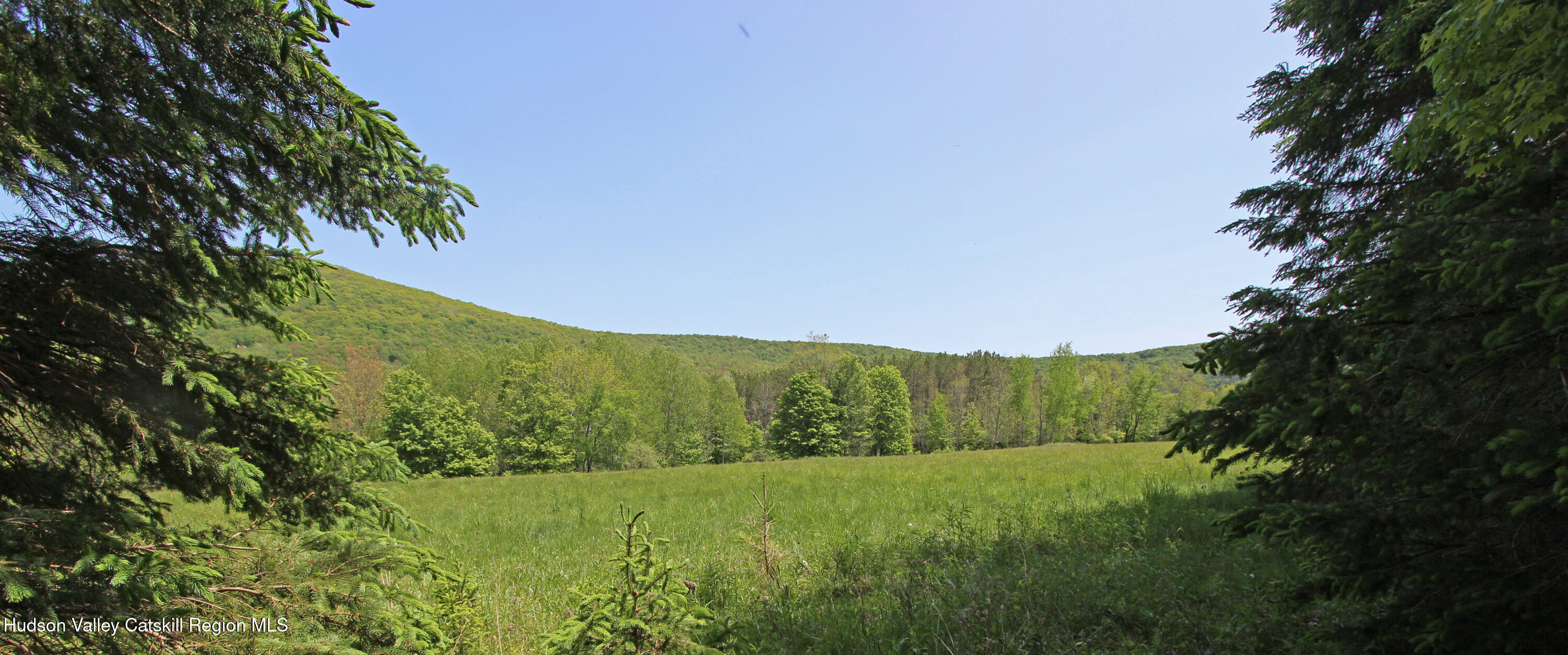 0 John Shultis Road Denver, NY 12421 - Photo 7 of 10 7 Field from behind the trees