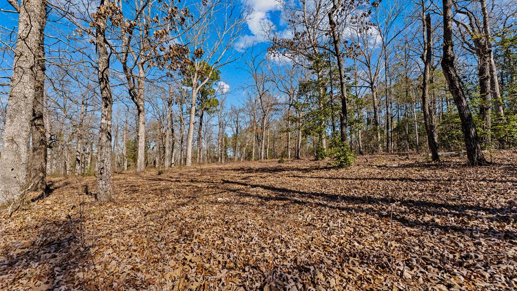 606 Herman Bell Road Mauk, GA 31058 - Photo 41 of 59 White Oaks, magnolia, hollies, walnut and more fil