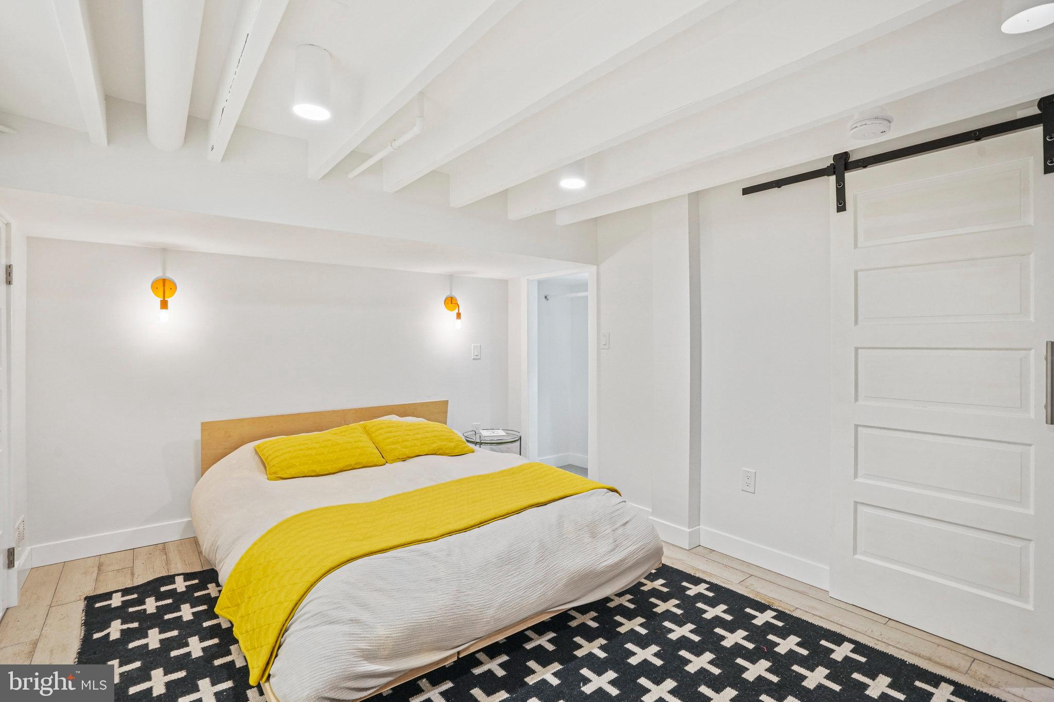 1217 E Street Northeast Washington, DC 20002 - Photo 32 of 46 Barn door for privacy. Closet at right rear