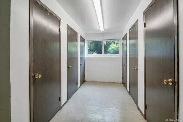 a view of a tree in a yard