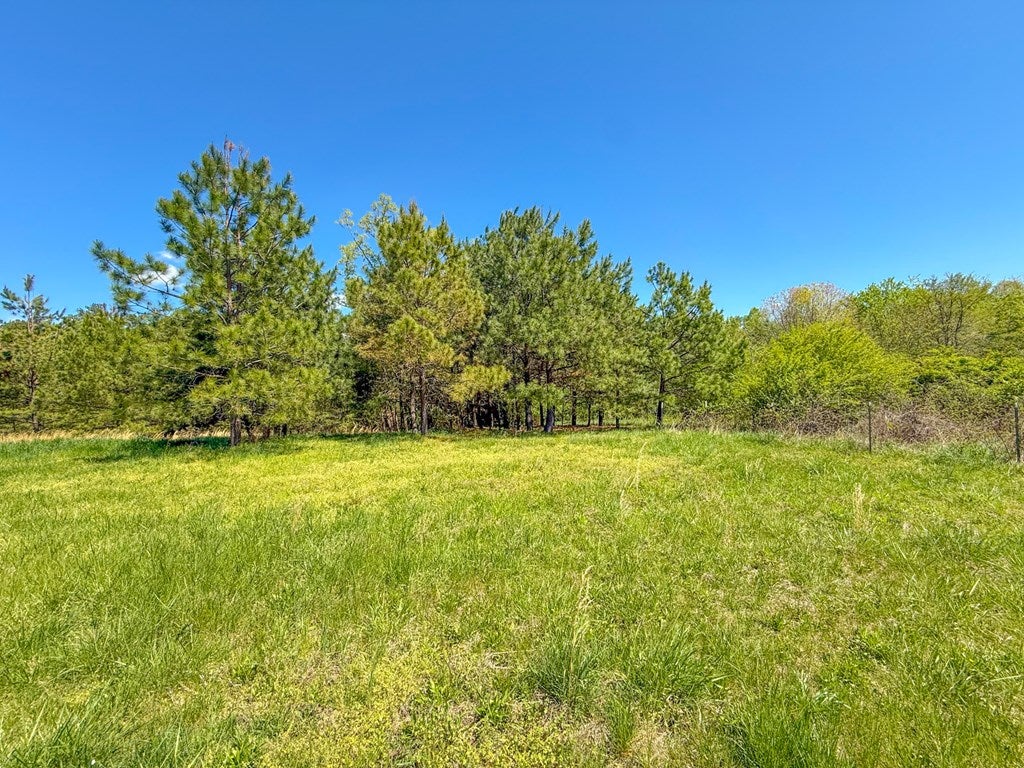 4342 Winningham Road Crewe, VA 23930 - Photo 35 of 49 Gallery Image 35