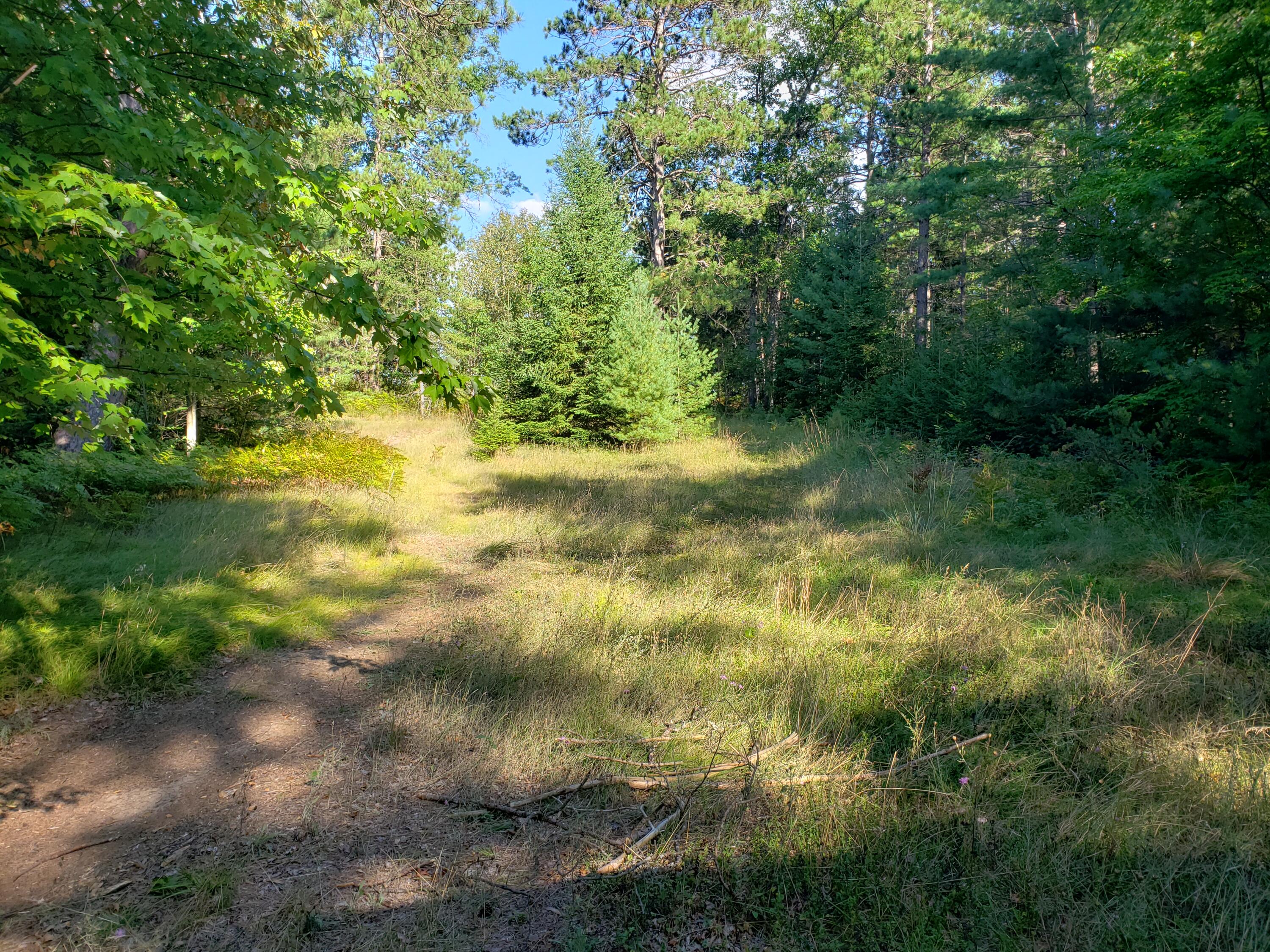 11431 Steckert Bridge Road Roscommon, MI 48653 - Photo 20 of 21 Gallery Image 20