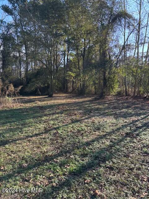 249 Ottis Miller Road Beulaville, NC 28518 - Photo 14 of 18 tempImageaQC7AL