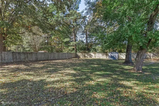a view of a trees in a yard
