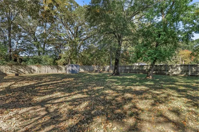 a view of a tree in the middle of a yard