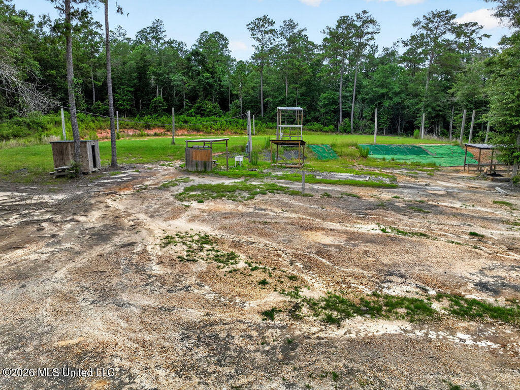 94 Desoto Road McHenry, MS 39561 - Photo 22 of 37 94DesotoRd.S-22