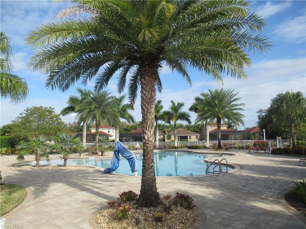 4114 Dutchess Park Road Fort Myers, FL 33916 - Photo 15 of 15 a row of palm trees and a park with palm trees