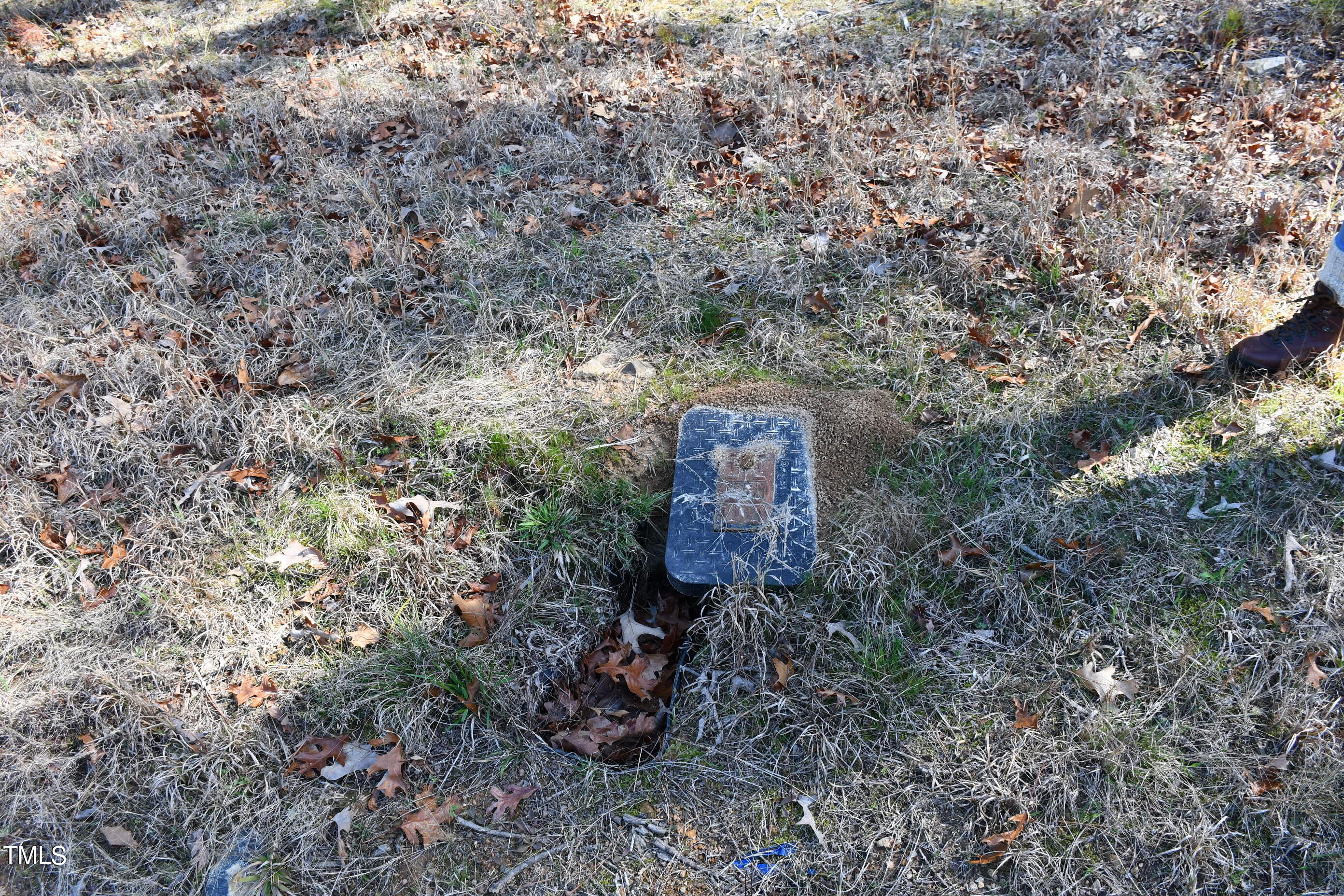 705 Gade Bryant Road Moncure, NC 27559 - Photo 6 of 11 County Water Tap