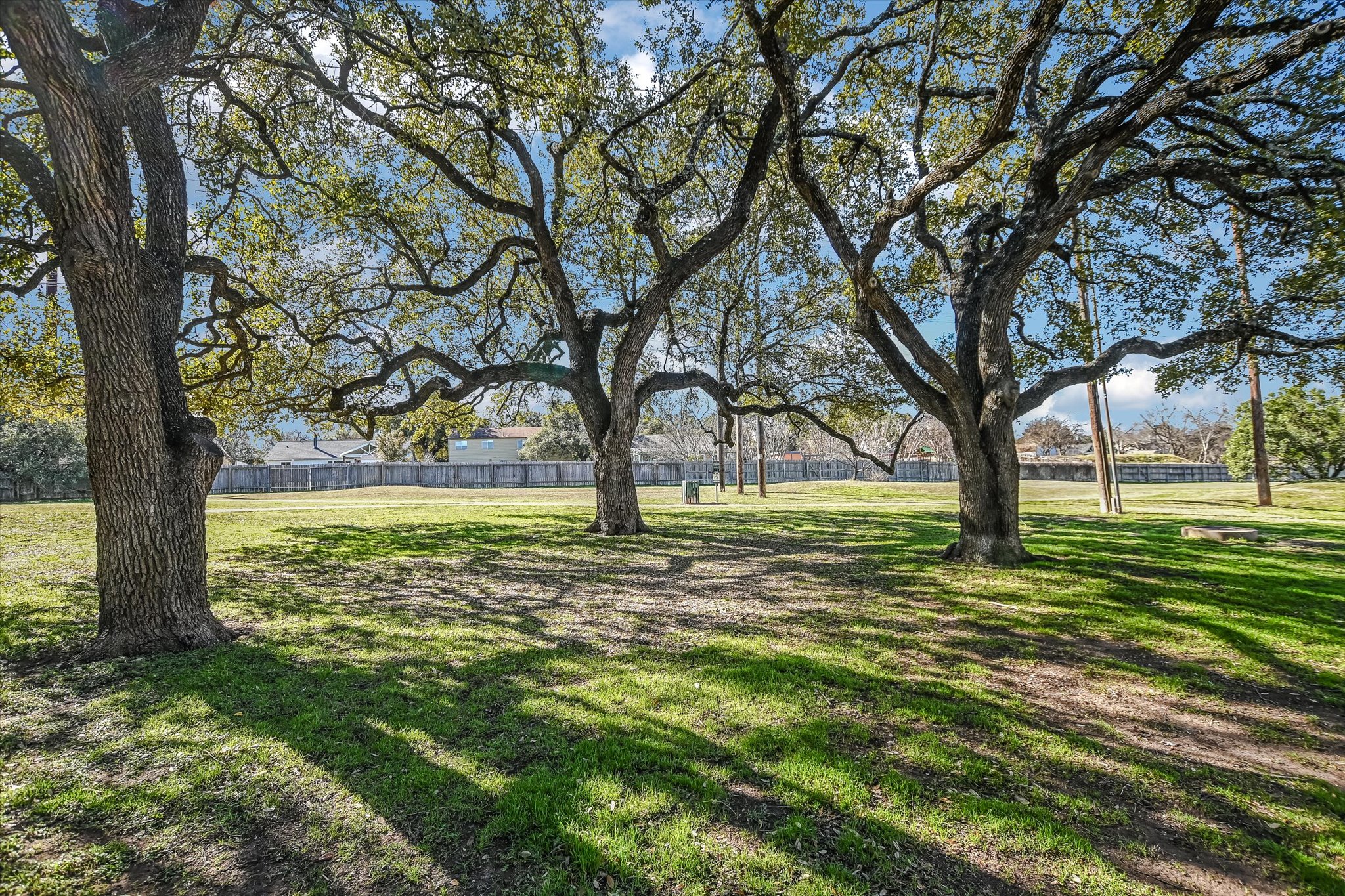 11901 Swearingen Drive, Unit 4 Austin, TX 78758 - Photo 22 of 23 a view of yard with tree s