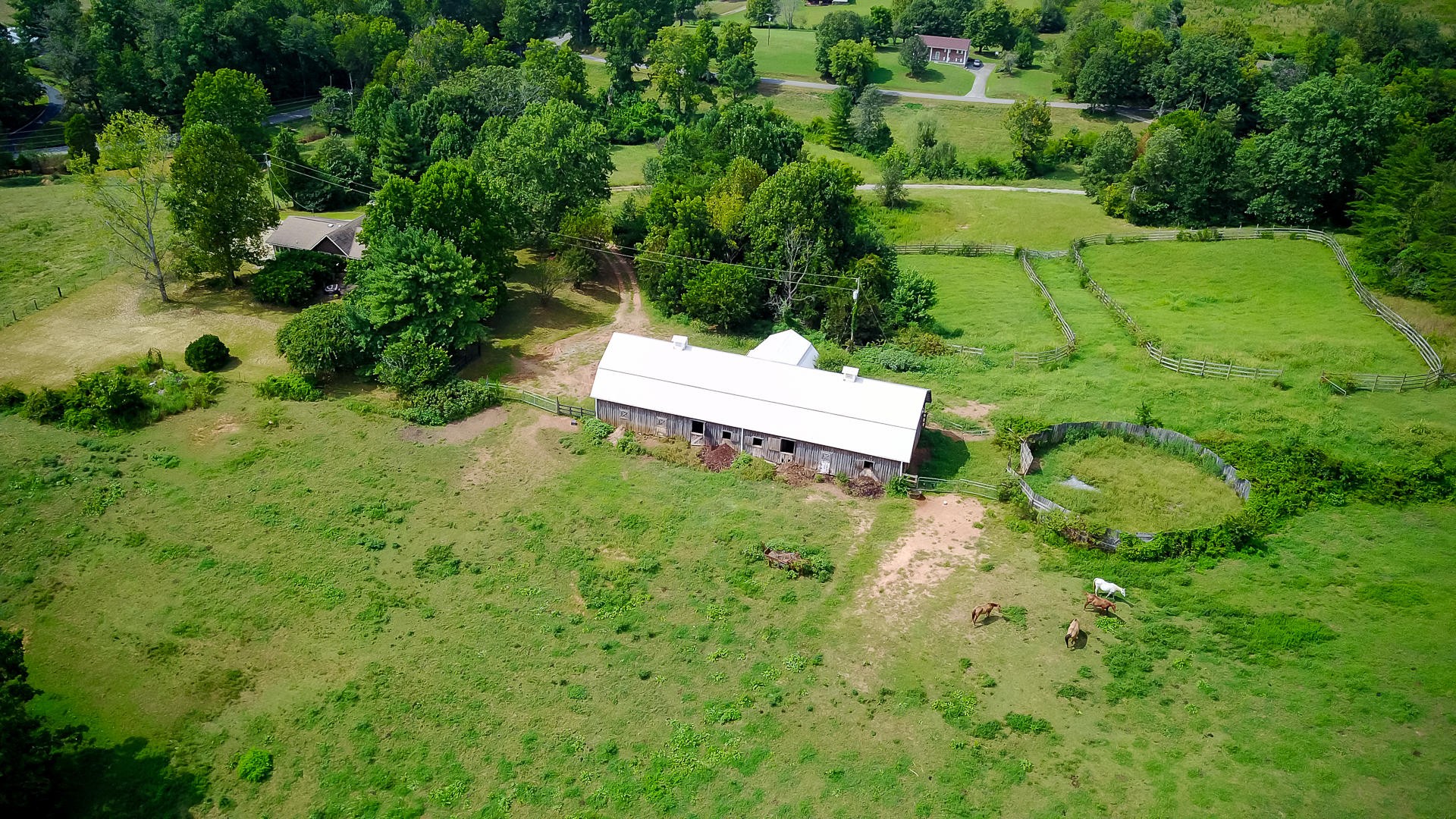 1361 Meadow Road Greenback, TN 37742 - Photo 3 of 33 Gallery Image 3