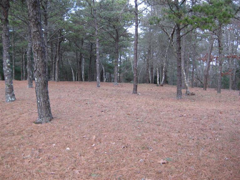 106 Country Club Road Sandwich, MA 02563 - Photo 1 of 4 Primary Photo