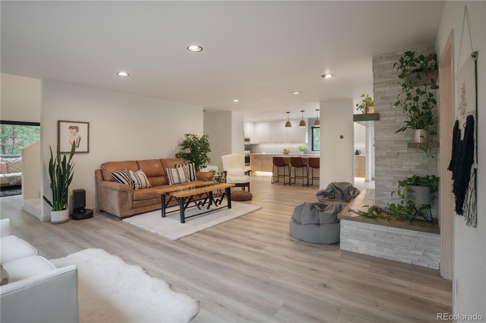1709 Red Hawk Road Silverthorne, CO 80498 - Photo 18 of 50 a living room with furniture and a potted plant