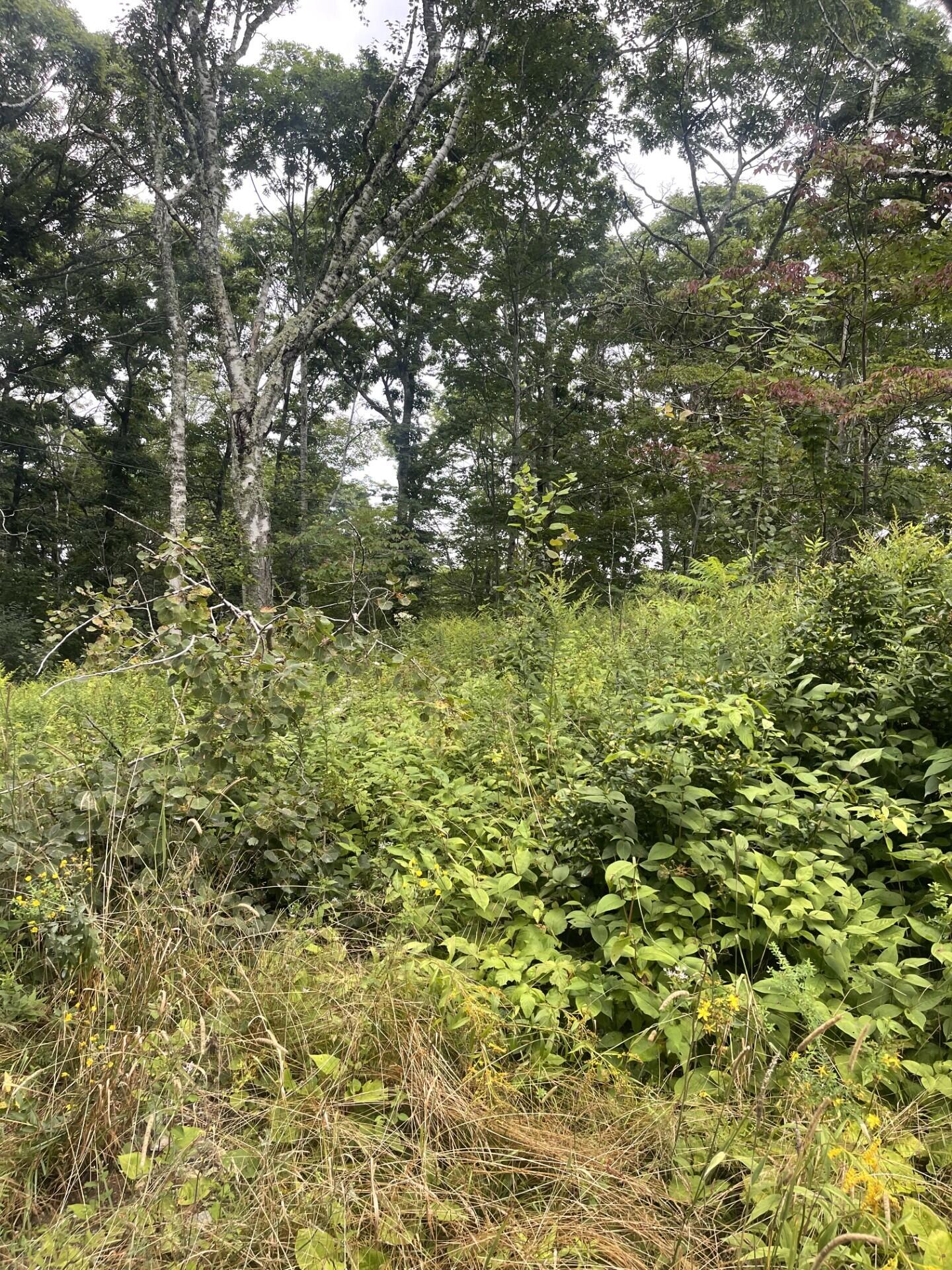 0 Poore Road East Boothbay, ME 04544 - Photo 12 of 30 11q