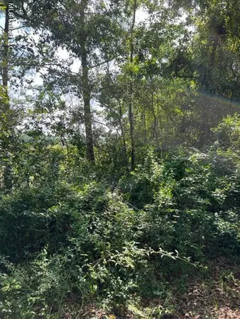 $43,500 | 0 Orrell Drive, Gautier, MS 39553