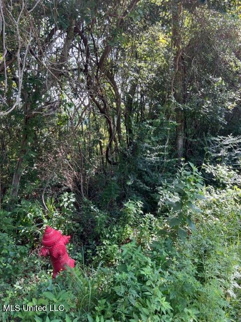 0 Orrell Drive Gautier, MS 39553 - Photo 2 of 2 IMG_5735