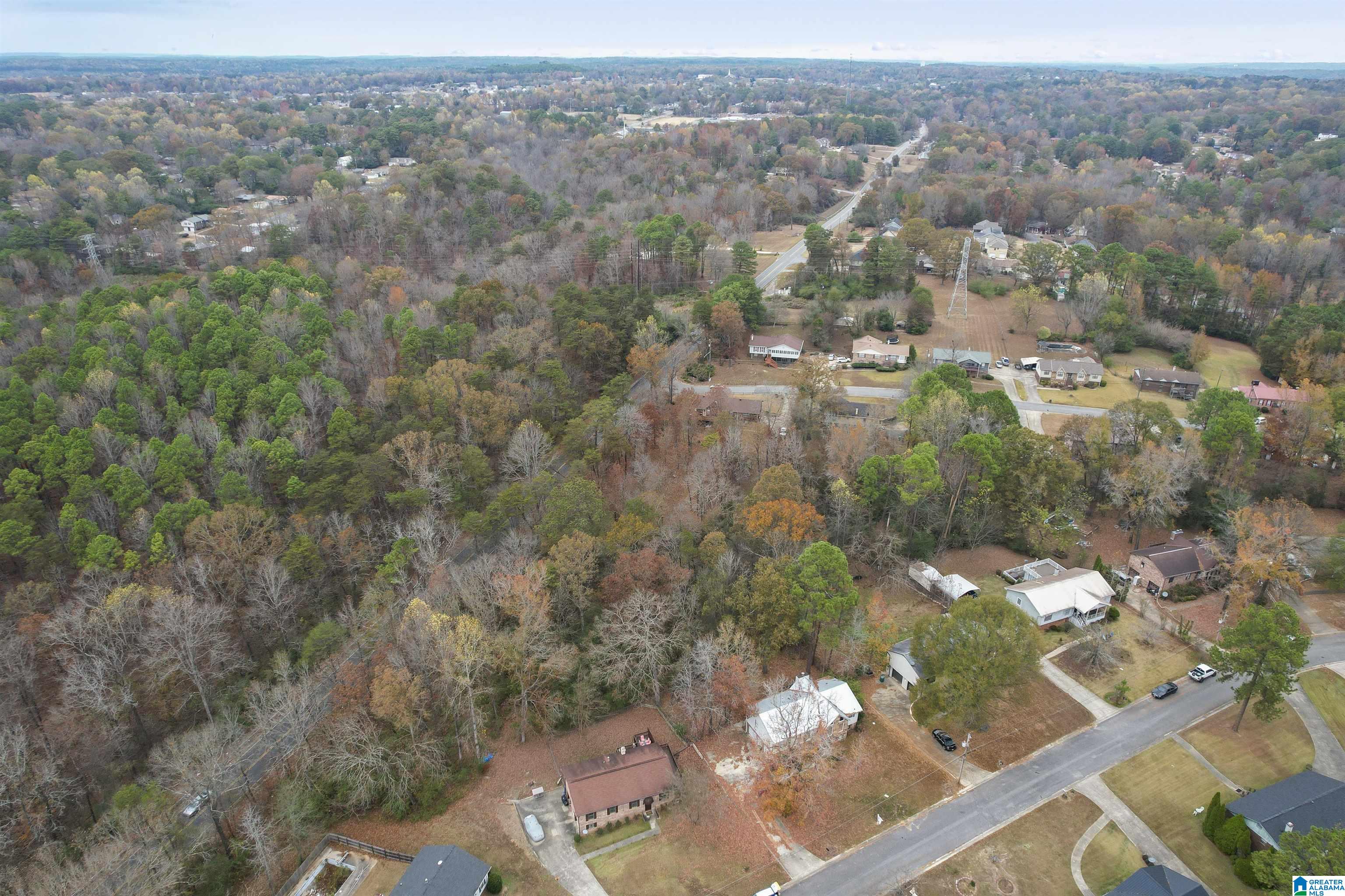 454 13th Place Pleasant Grove, AL 35127 - Photo 8 of 35