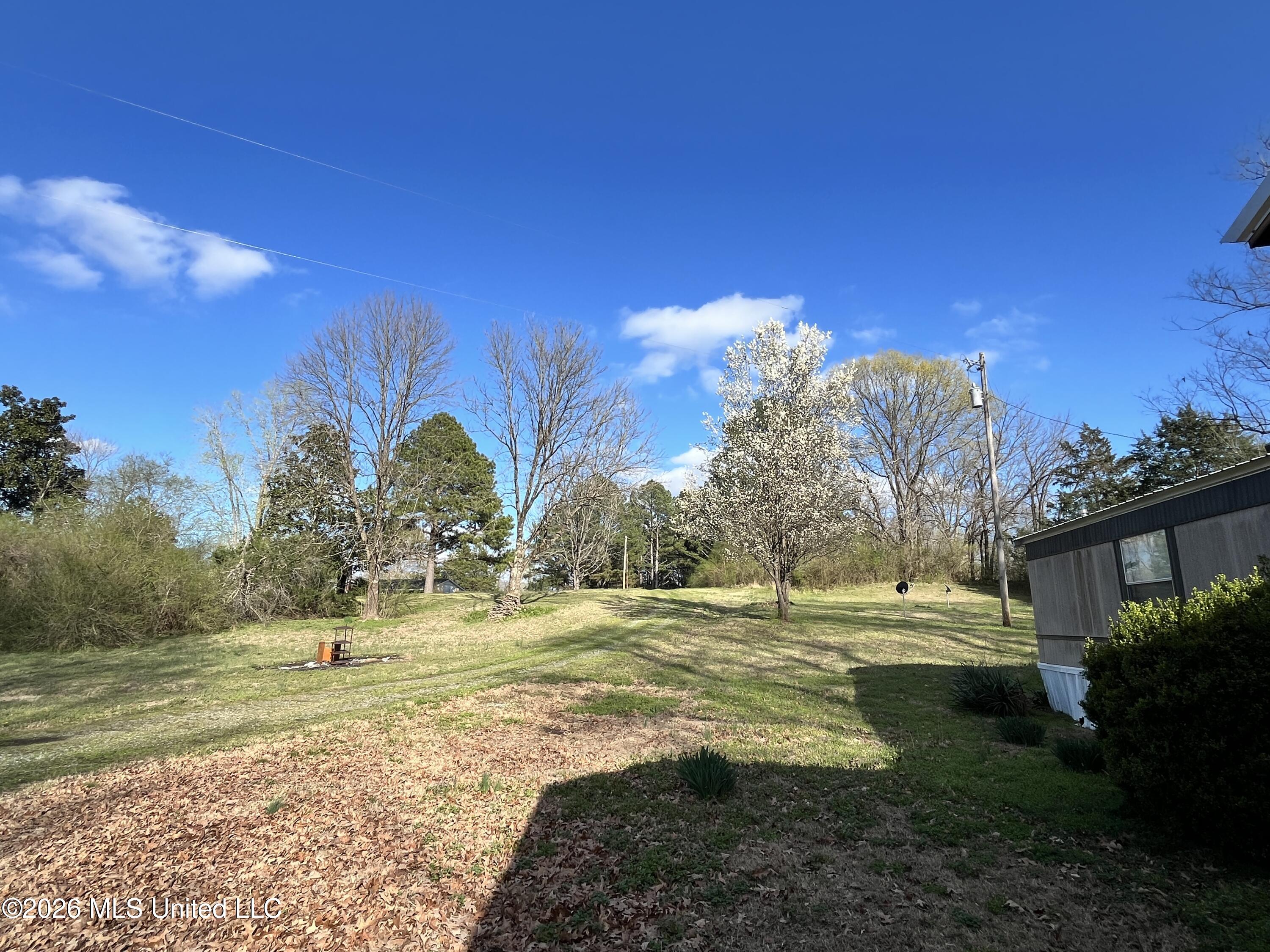 2561 Bowmantown Road Coldwater, MS 38618 - Photo 15 of 19 IMG_5651