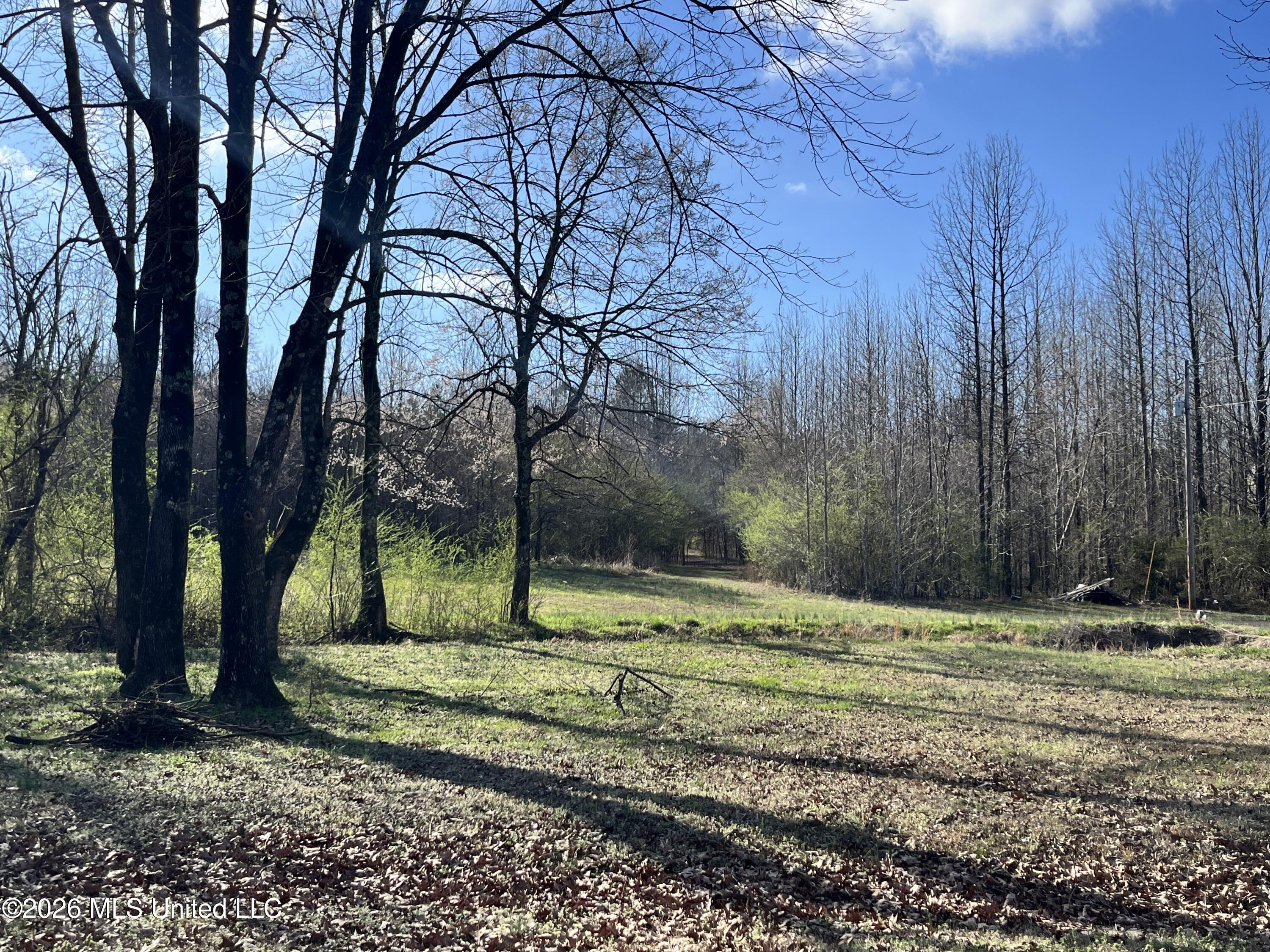 2561 Bowmantown Road Coldwater, MS 38618 - Photo 16 of 19 IMG_5653