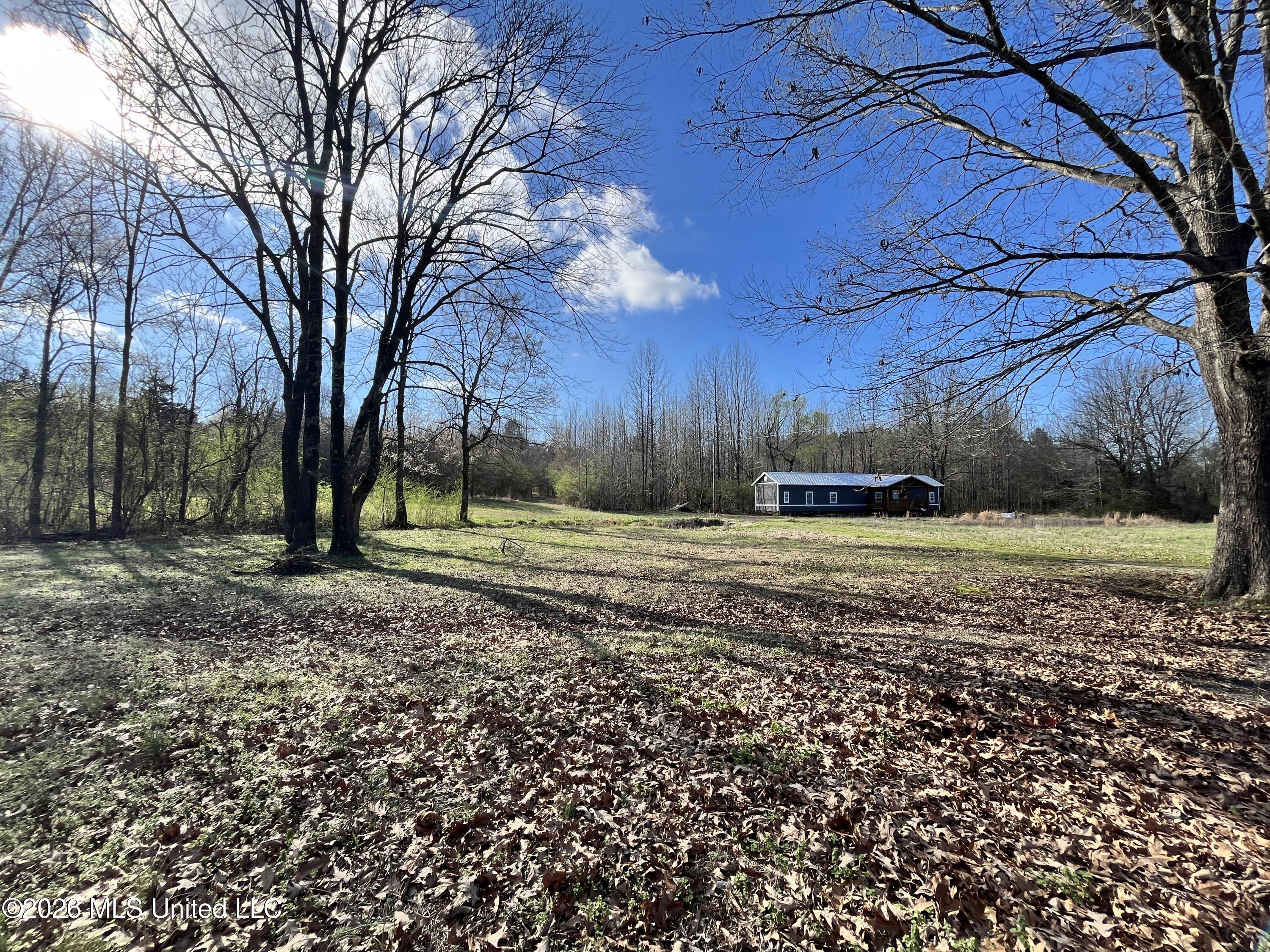 2561 Bowmantown Road Coldwater, MS 38618 - Photo 17 of 19 20260308_213717184_iOS