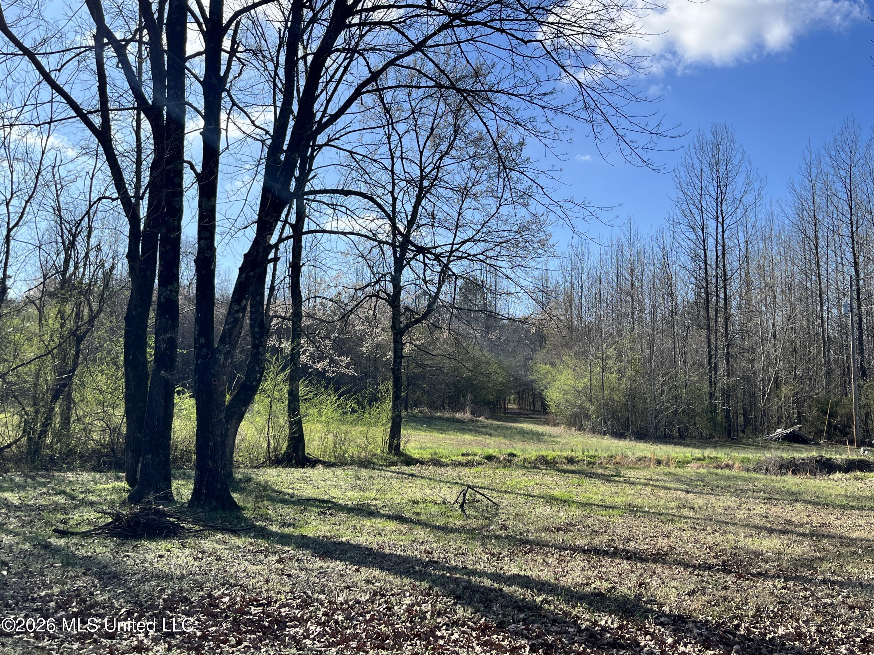 2561 Bowmantown Road Coldwater, MS 38618 - Photo 18 of 19 20260308_213730853_iOS