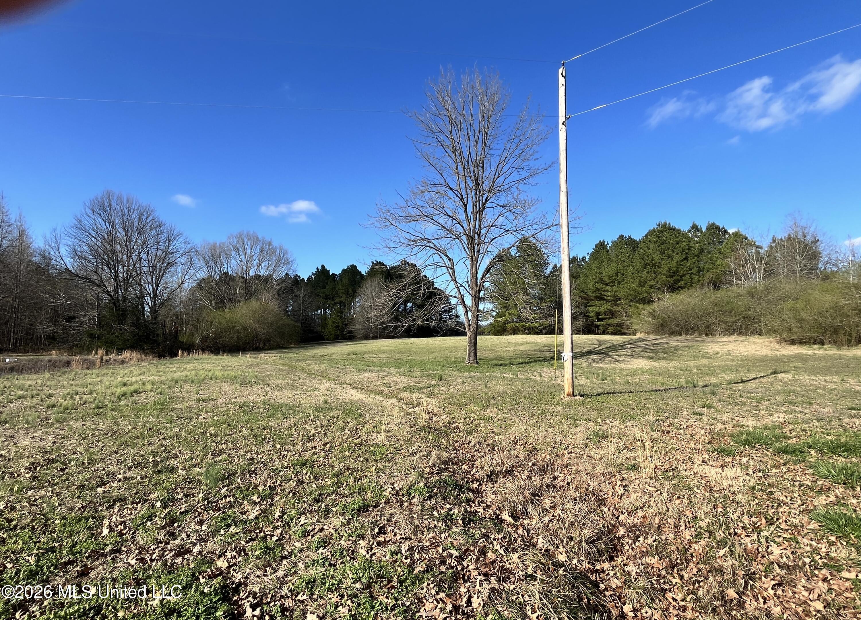 2561 Bowmantown Road Coldwater, MS 38618 - Photo 19 of 19 IMG_5655