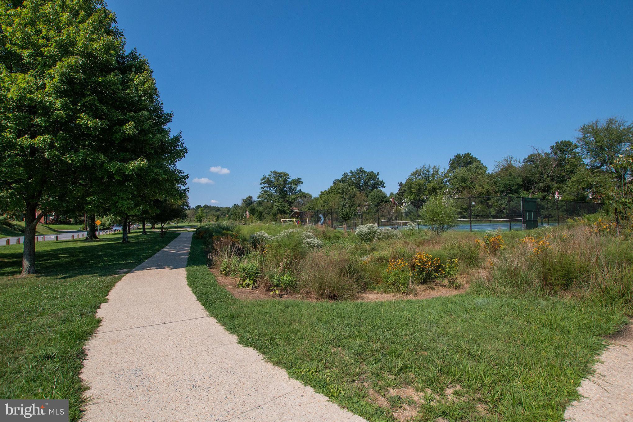 10513 Cascade Place Silver Spring, MD 20902 - Photo 22 of 22 Community