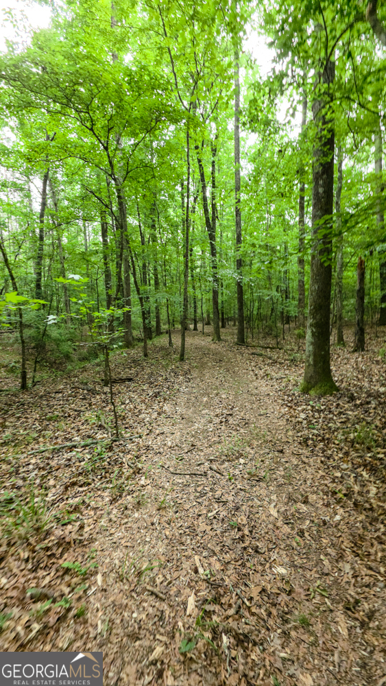 428 Padgett Road Senoia, GA 30276 - Photo 7 of 18