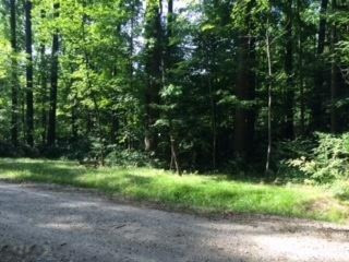 9310 Lakeside Road Lakeside, MI 49116 - Photo 1 of 2 Street Photo