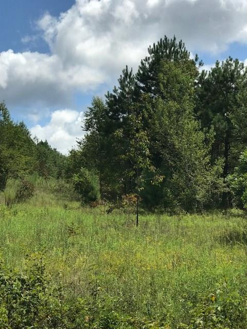 544 Main Drive Aiken, SC 29801 - Photo 1 of 15