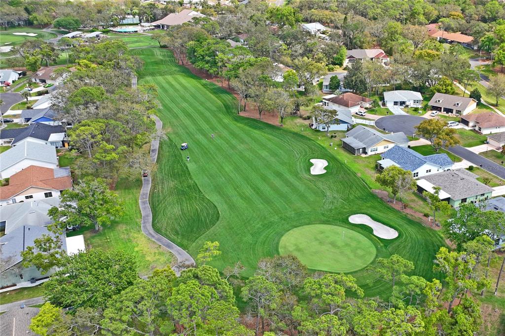 2252 Pebble Beach Drive Spring Hill, FL 34606 - Photo 48 of 100