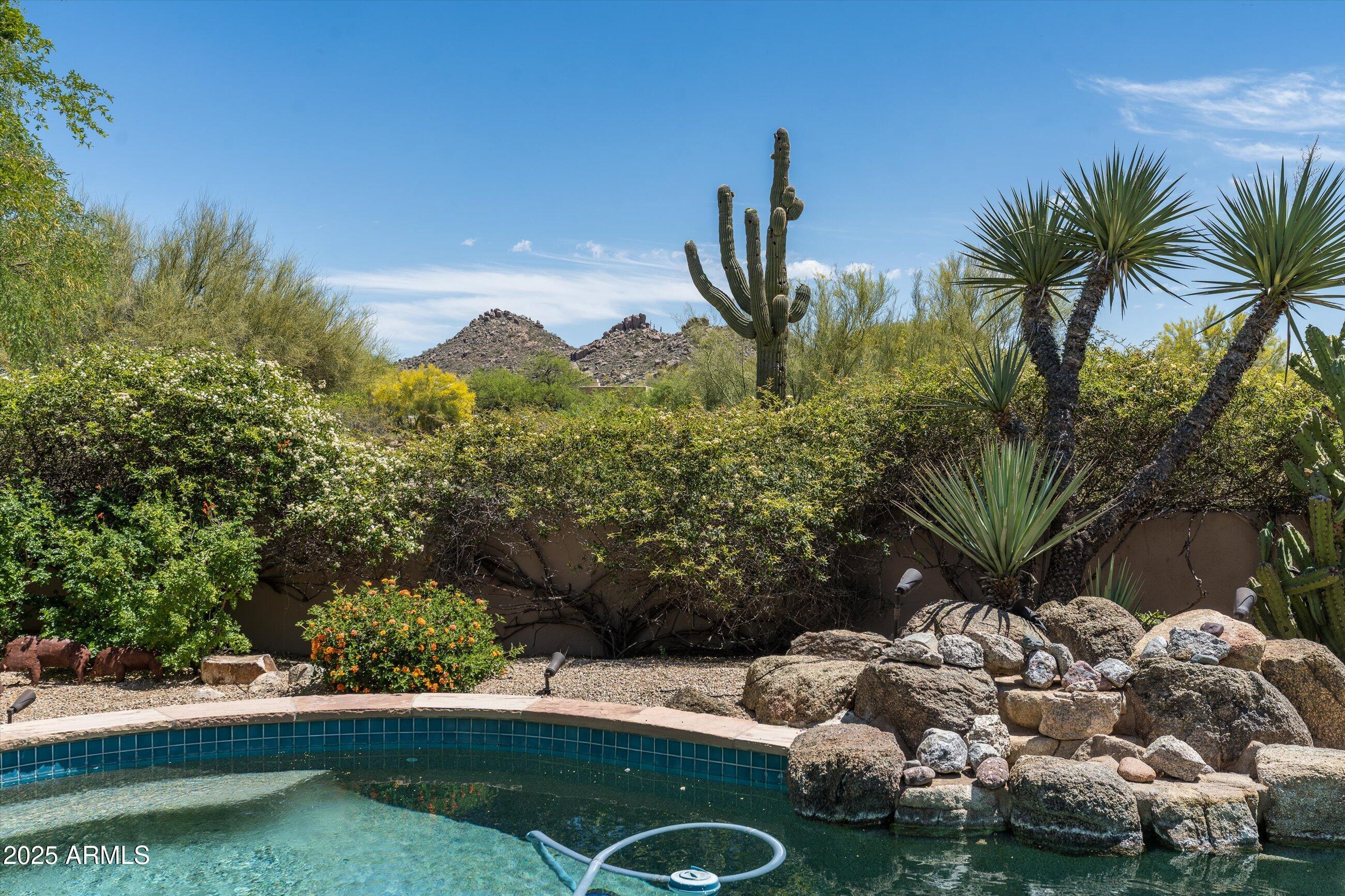 34221 North Boulders Parkway Scottsdale, AZ 85266 - Photo 29 of 31 a view of a garden with a tree