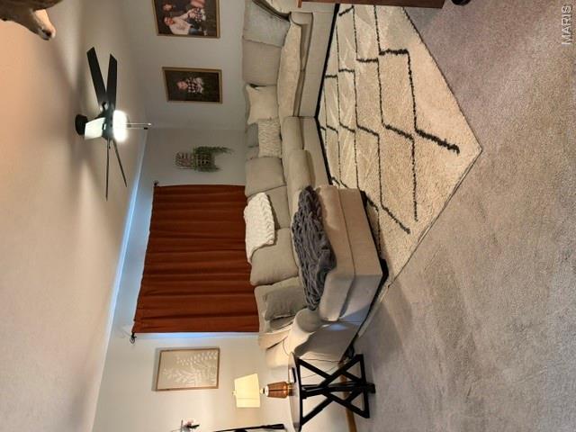 1775 Burley Road Festus, MO 63028 - Photo 4 of 47
