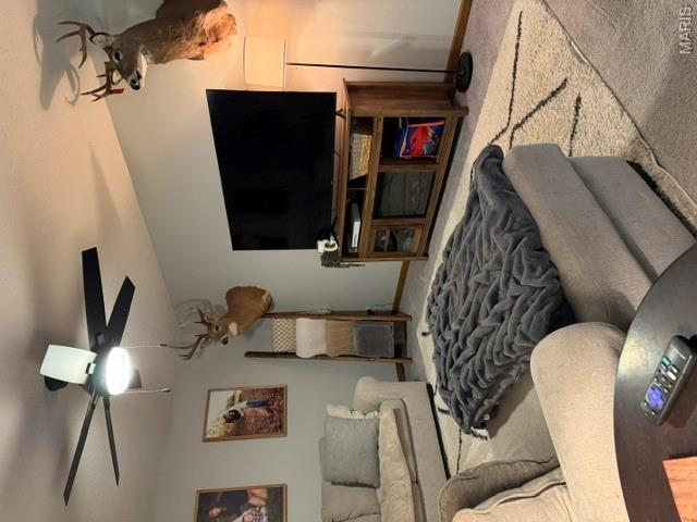 1775 Burley Road Festus, MO 63028 - Photo 5 of 47