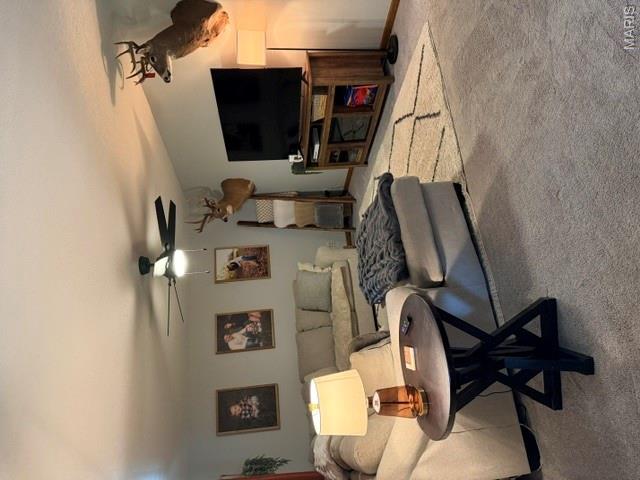 1775 Burley Road Festus, MO 63028 - Photo 6 of 47